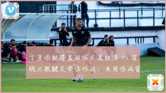 丁彦雨航膝盖旧伤反复缺席 vs 翟晓川跟腱炎带伤作战，老将伤病管理策略差异
